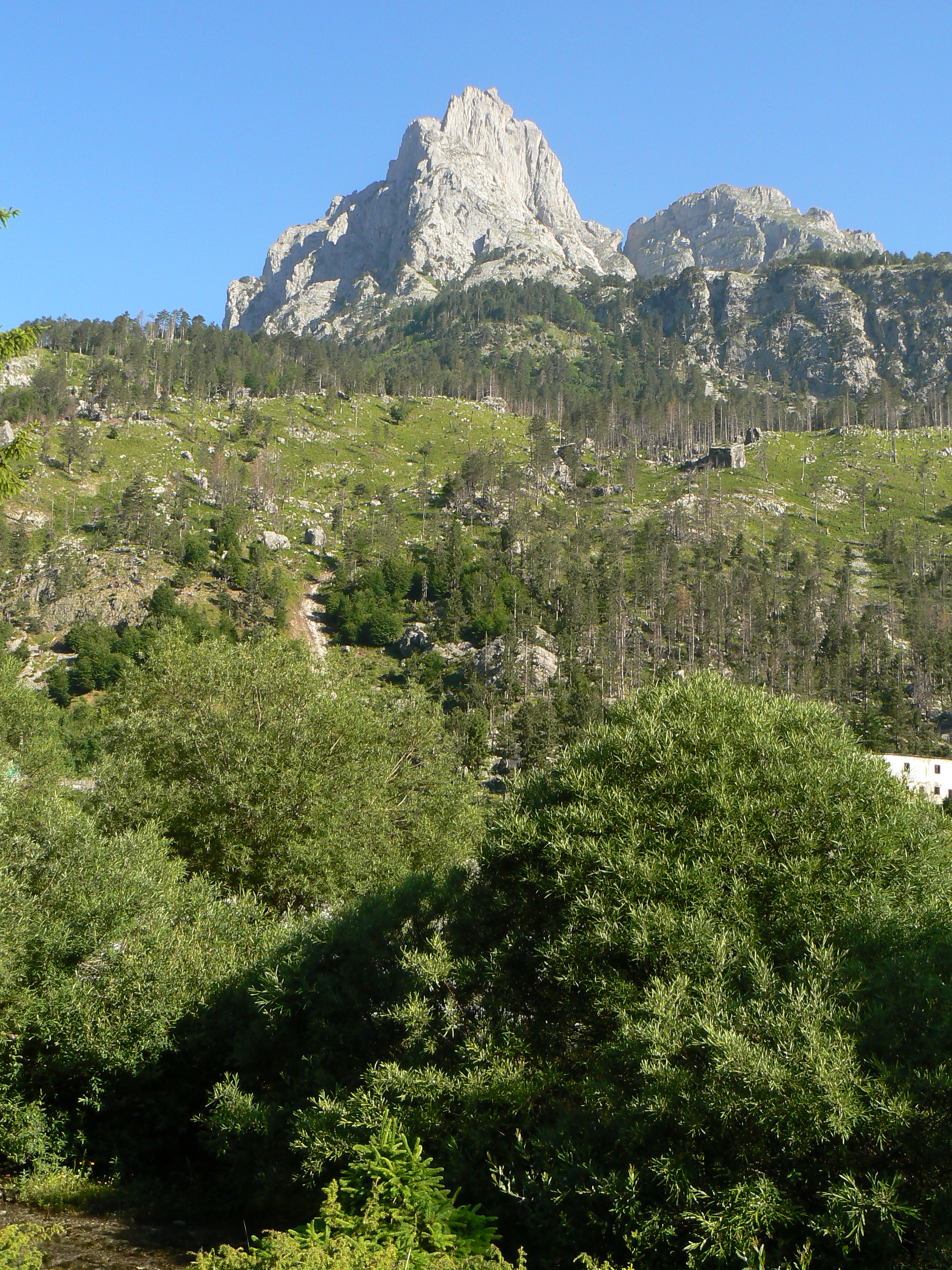 P1230123