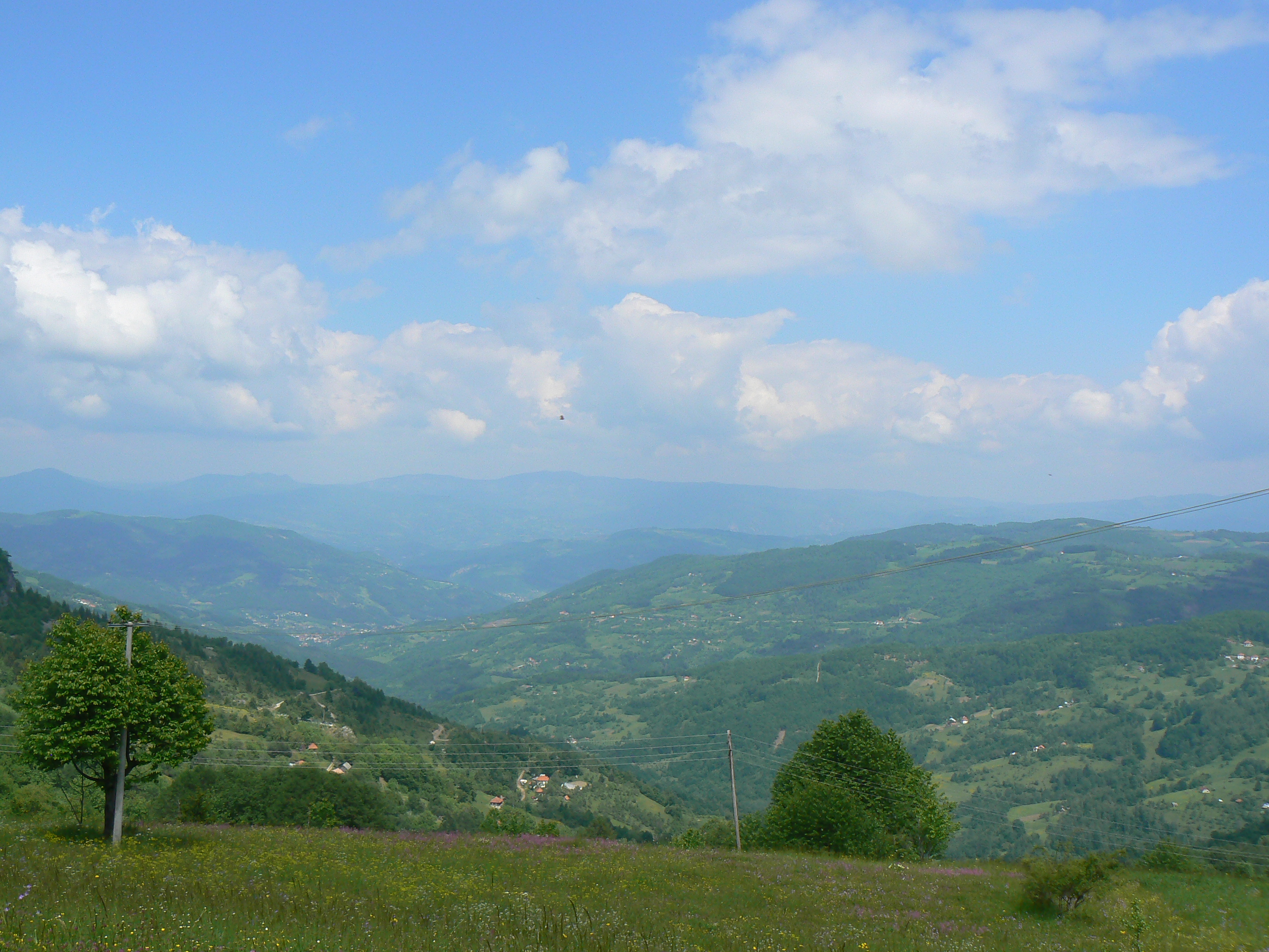 P1220555