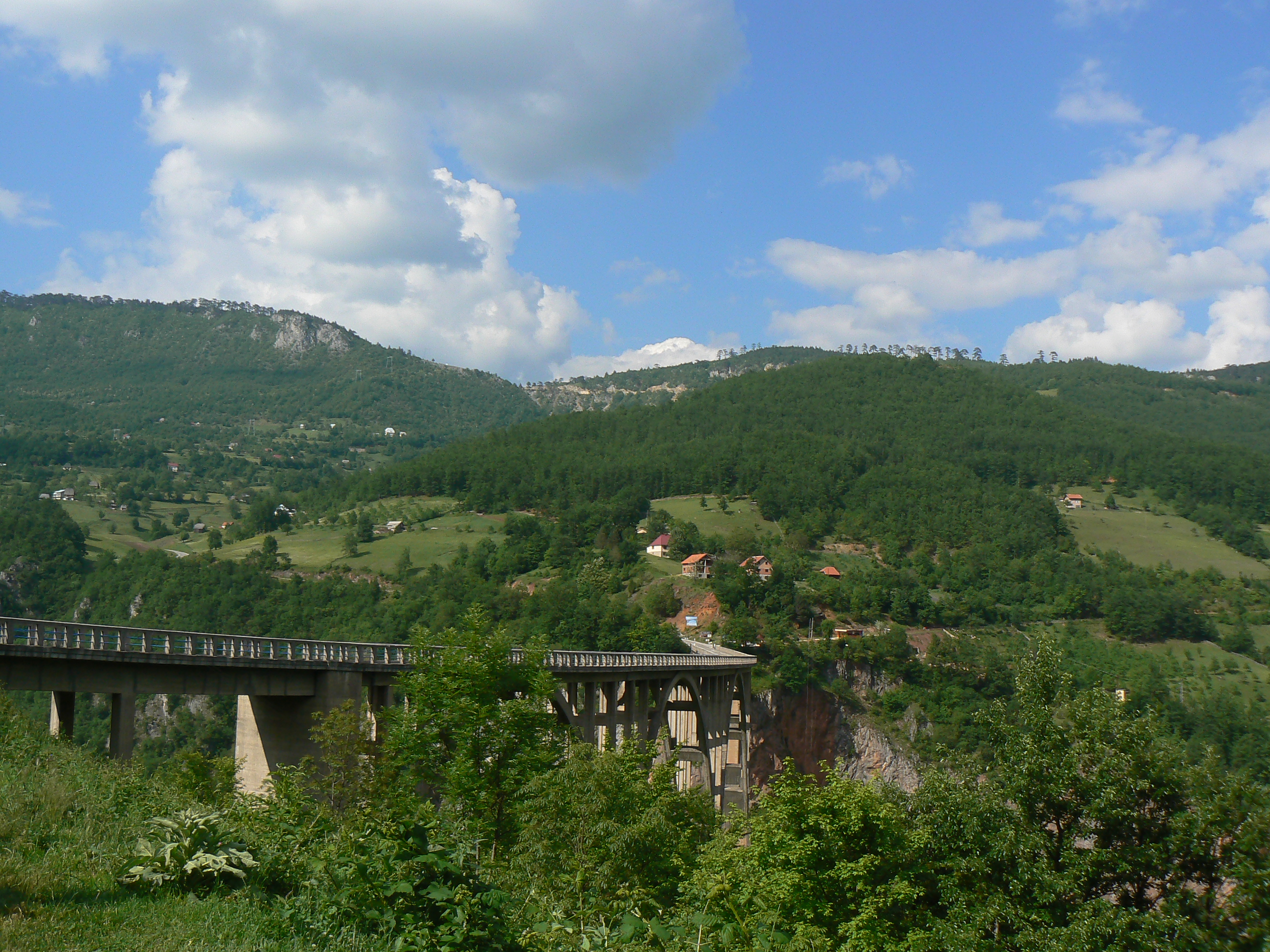 P1220566